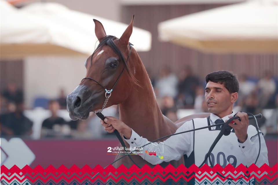 من مدينة بنغازي قلب ليبيا النابض و من ميدان الجمال والأصالة يعلو صهيل الفخر في كرنفال ليبيا التراثي – النسخة الثانية